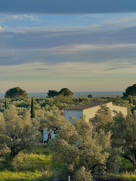 Can Mimosa Guesthouse
